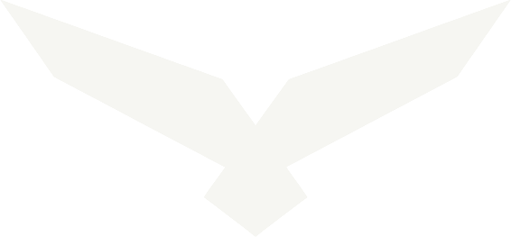 US Marketing Agency falcon